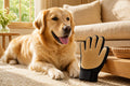 Pet grooming deshedding glove in warm beige home with dog